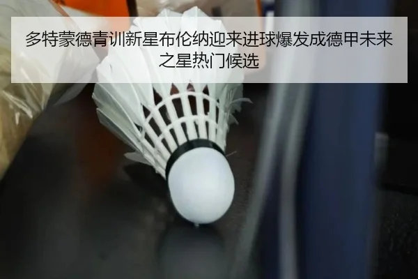 多特蒙德青训新星布伦纳迎来进球爆发成德甲未来之星热门候选 | kaiyun